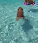 Corgi goes for ride on top of Golden Retriever in the pool