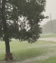 Surprise Lightning Strike Close Call