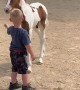 Boy and Foal Share Special Bond