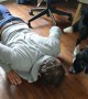 Dog Prevents Push-ups