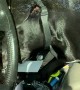 Dog Locked In Truck Fetches Keys From Ignition