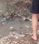 Saving a Puppy Stranded on Muddy Embankment