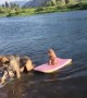 Big Dog Rescues Little Dog From Floating Away