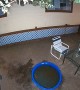 Bear Cools Off at Night in Kids Swimming Pool