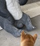 Barking Shiba Creates 'Panda'monium