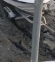 Boat Launch at Low Tide Leads to Muddy Trailer Trap