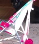 Kitty Climbs Into Stroller for a Ride