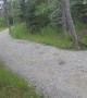 Close Encounter With Grizzly Bear Chasing Other Grizzly