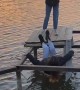 Broken Board Dumps Friend In River