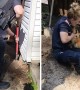 Police rescue dog trapped deep under home\'s foundation