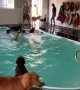 Big Pups Have Pool Party