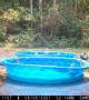 Playful Bears Cool Off In Wading Pool