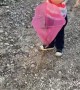 Boy Catches Stone Frog in His Net