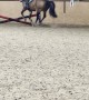 Powerful Farts Propel Pony Over Jumps