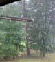 Lightning Strike Dashes Backyard Tree to Pieces