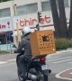 Doggy Rides in Scooter Safety Box