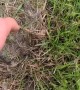 Thanks to wildlife documentaries, this guy saved these baby bunnies
