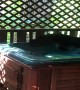 Three Black Bear Cubs Play in Hot Tub