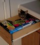 Ghost Drawer or Sneaky Kitty