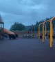 Mama Bear and Cubs Take Over Playground in Juneau, Alaska