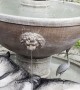 Husky Stays Cool in Flowing Fountain