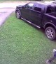 Neighbor's Dog Bites Mailman