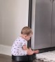 Little Guy Takes Roomba for A Ride