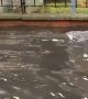 Electric Scooter Takes a Spill in Puddle