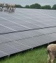 Lambs Scale Solar Panels