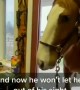 Horse loves his caretaker after she rescues him from certain death