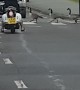 Gaggle of Geese Use Crosswalk