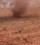 Dust Devil Drifts Across Field