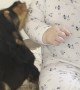 Baby and New Puppy are Friends at First Sight