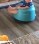 Baby Enjoys Ride on Roomba Vacuum