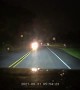 Driver Swerves to Avoid Deer and Misses Guardrail
