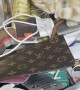 Cat Loves Louis Vuitton