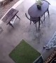 Snake Startles Person on Patio