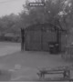 Doorbell Camera Catches Deer Running into Gate Pole