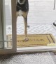 Open Door Confuses Dog