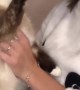 Cat Claw Gets Stuck After Pawing Owners Face