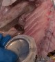 Man Finds Soda Can Inside Cod Fish