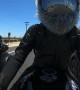 Motorcycle Rabbit Races Car