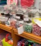 Rat Infestation Takes Over Candy Land Store in Massapequa