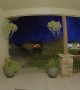 Doorbell Camera Captures Meteor Lighting Up the Sky
