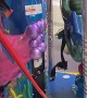 Curious Birds Enjoy Carousel Ride