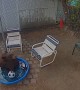 Bear Takes Pool Break in Backyard