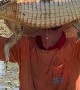 Uncle Jumps and Captures Baby Alligator Then Releases it