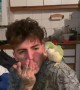 Bird Grooves to Beatboxing