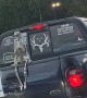 Halloween Decorated Truck Has a Funny Surprise