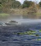 Sunken Airboat Gets Pulled to Shore